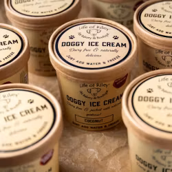 LOR - Doggy Diy Ice Cream Banana