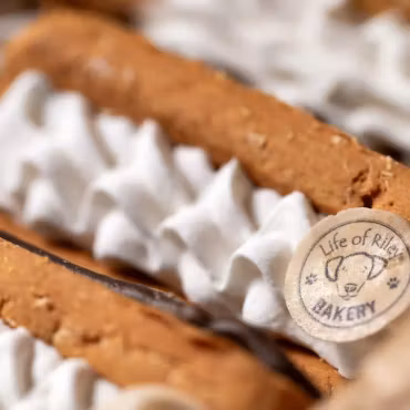 LOR - Doggy Eclairs