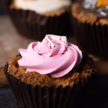 LOR - Luxury Dog Pupcakes