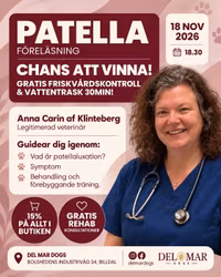 Rehab Kväll! - Patella Föreläsning & Vinn rehab-behandlingar!