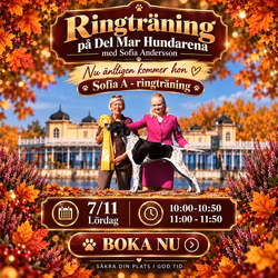 RINGTRÄNING MIXGRUPP LÖRDAG 7 NOVEMBER 2 GRUPPER