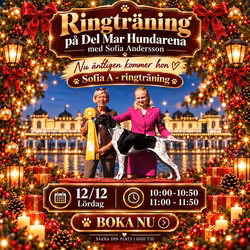 RINGTRÄNING MIXGRUPP LÖRDAG 12 DECEMBER 2 GRUPPER