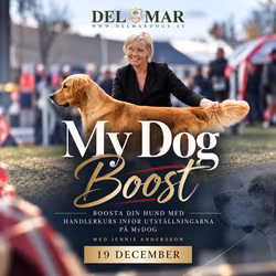 MY DOG BOOST 19/12 JENNIE ANDERSSON