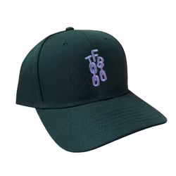 TFB Baseball Snapback - Green/Light Purple