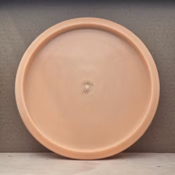 Pro Glow Pig 2020 Ricky Wysocki - (T)