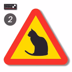 Katt varningsskyltar