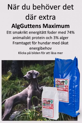 AlgGuttens Maximum 15kg