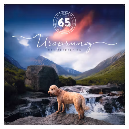 LexNox Superfood Angus-Nötkött Valp