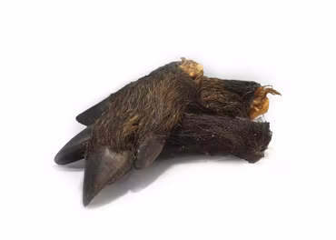 Emmzo Svensk torkad delad Vildsvinsfot med päls 1/2