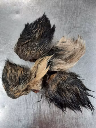 Emmzo Svenska Vildsvinsöron Storpack 500g