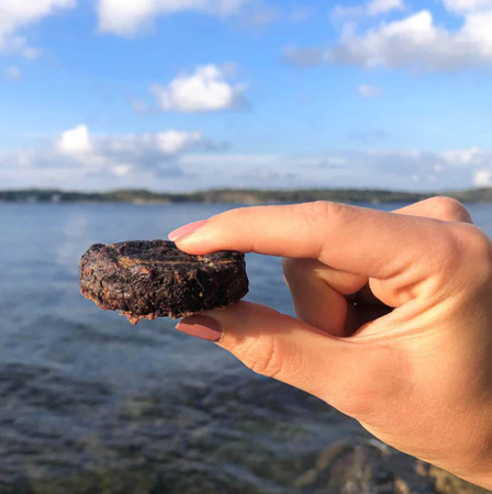 TassaFritt Belöningsbitar Älgkex 80g