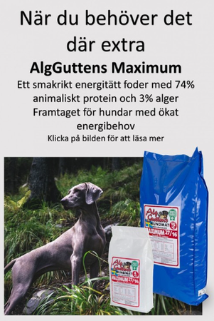AlgGuttens Maximum 4kg