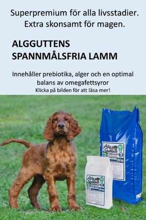 AlgGuttens Spannmålsfria Lamm 4kg