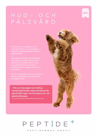 LexNox Veterinärfoder Hud- och Pälsvård 1,5 kg