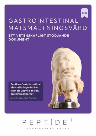 Veterinärfoder Gastrointestinal Vetenskapliga dokument