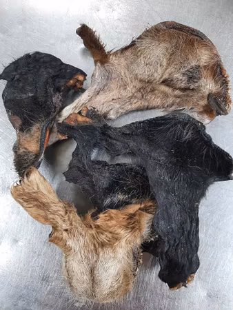 Emmzo Svensk Oxhud & kind med päls