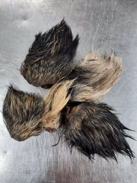 Emmzo Svenska Vildsvinsöron