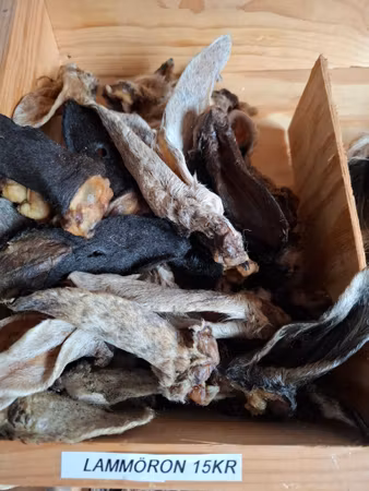 Emmzo Svenskt Hundtugg Lammöron med päls