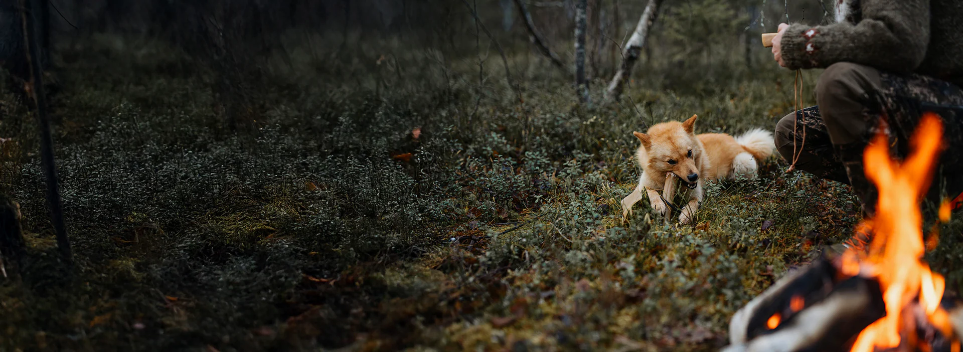 Kerotugg Svenskt Hundtugg Dovhjort 15