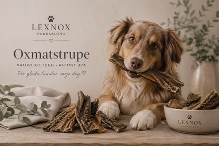 Emmzo Svenskt Hundtugg Oxmatstrupe 1 kg