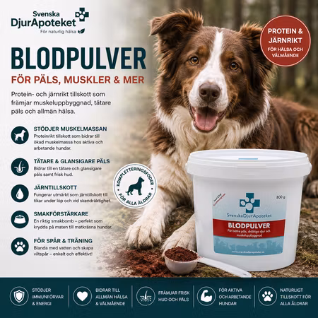 Svenska DjurApoteket Blodpulver 800 gram