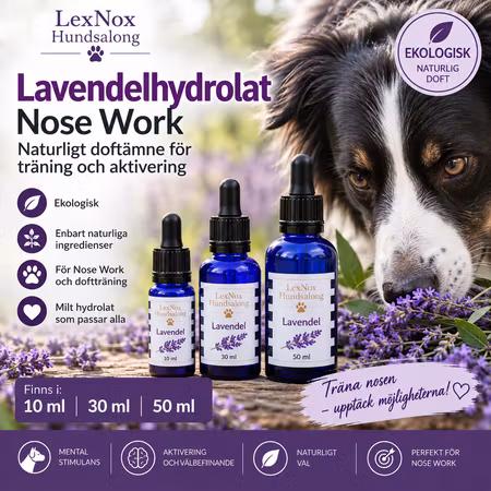 LexNox Nose Work Hydrolat Lavendel Ekologisk