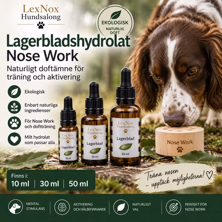 LexNox Nose Work Hydrolat Lagerblad Ekologisk