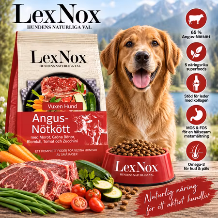 LexNox Hundmat Superfood 65 Angus-Nötkött