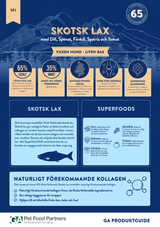 LexNox Hundmat Superfood 65 Skotsk Lax Liten ras