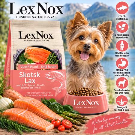 LexNox Hundmat Superfood 65 Skotsk Lax Liten ras