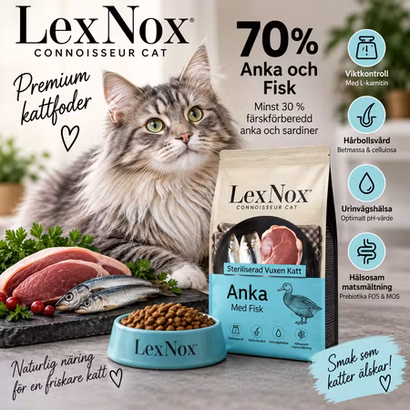 LexNox Kattmat Anka med Sardiner