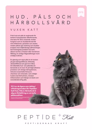 LexNox Veterinärfoder Katt - Hud, Päls och Hårbollsvård