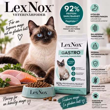 LexNox Veterinärfoder katt - Matsmältningsvård Gastro