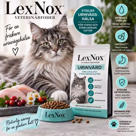 LexNox Veterinärfoder katt - Urinvård