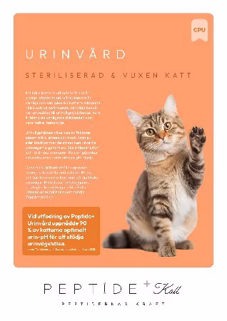 LexNox Veterinärfoder katt - Urinvård