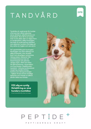 LexNox Veterinärfoder Tandvård – Hundfoder för tandhälsa