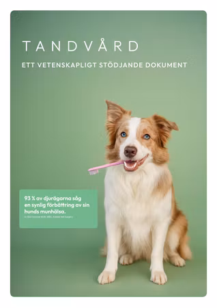 Vetenskaplig dokumentation – LexNox Veterinärfoder Tandvård