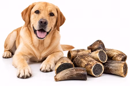 Emmzo Svenskt Oxhorn 1 kg – Naturligt Hundtugg i Storpack