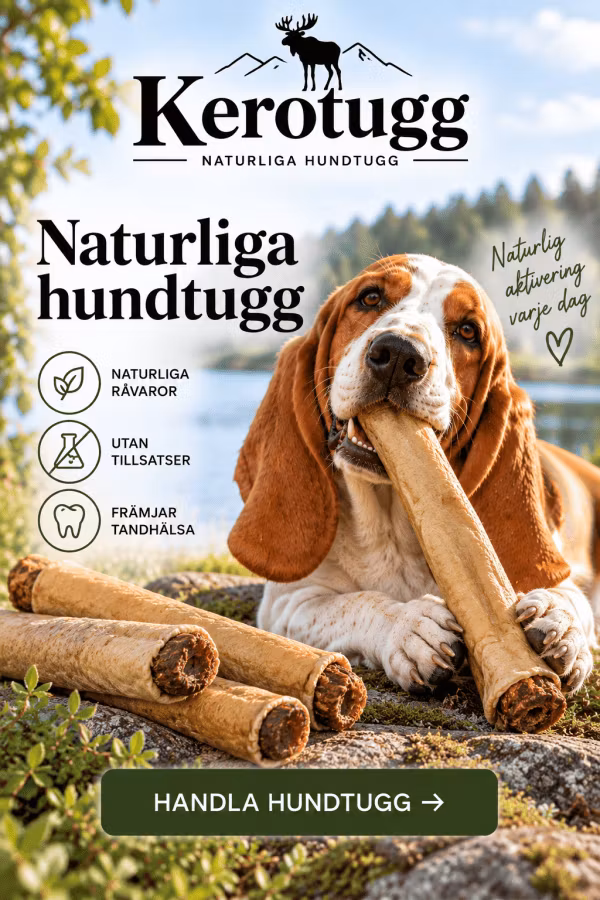 LexNox Hundshop