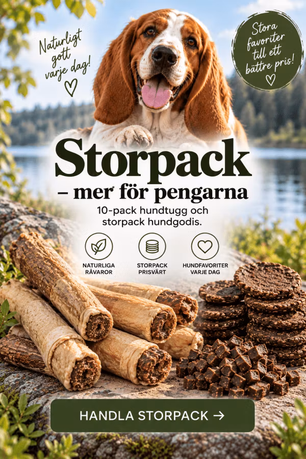 LexNox Hundshop