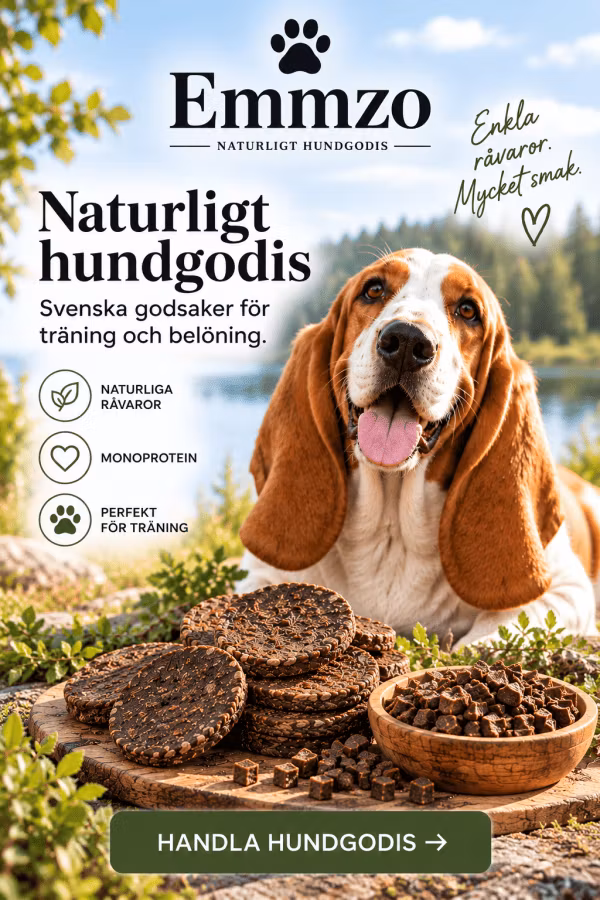 LexNox Hundshop
