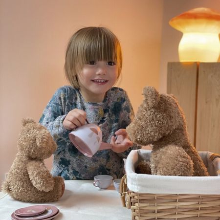 Egmont Toys Servis igelkott i picknickkorg rotting