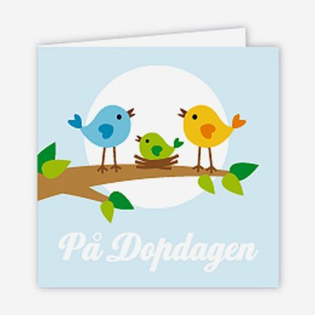 Paketkort dop, fågelfamilj