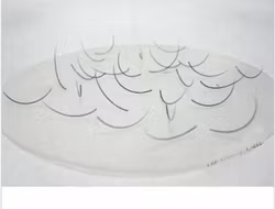 Silicon Lash Pad - Silikonplatta Oval
