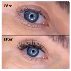 DIY Fransförlängning Kit för hemmabruk