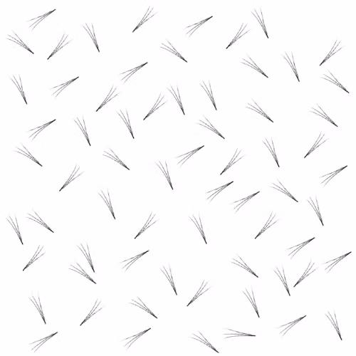 Bislash Pre Made Volume Fans 3D - ca 125 st