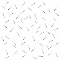 Bislash Pre Made Volume Fans 3D - ca 125 st