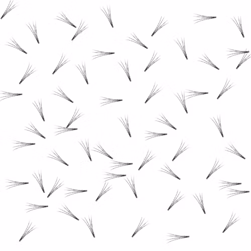 Bislash Pre Made Volume Fans 4D - ca 125 st