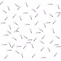 Bislash Pre Made Volume Fans 4D - ca 125 st