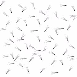 Bislash Pre Made Volume Fans 4D - ca 125 st